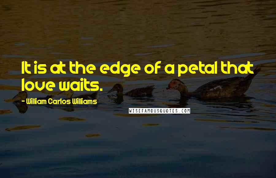 William Carlos Williams Quotes: It is at the edge of a petal that love waits.