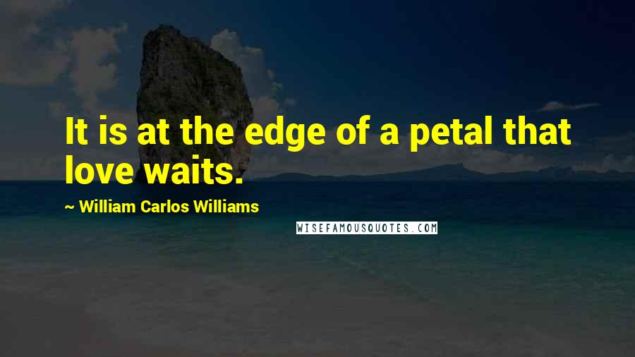 William Carlos Williams Quotes: It is at the edge of a petal that love waits.