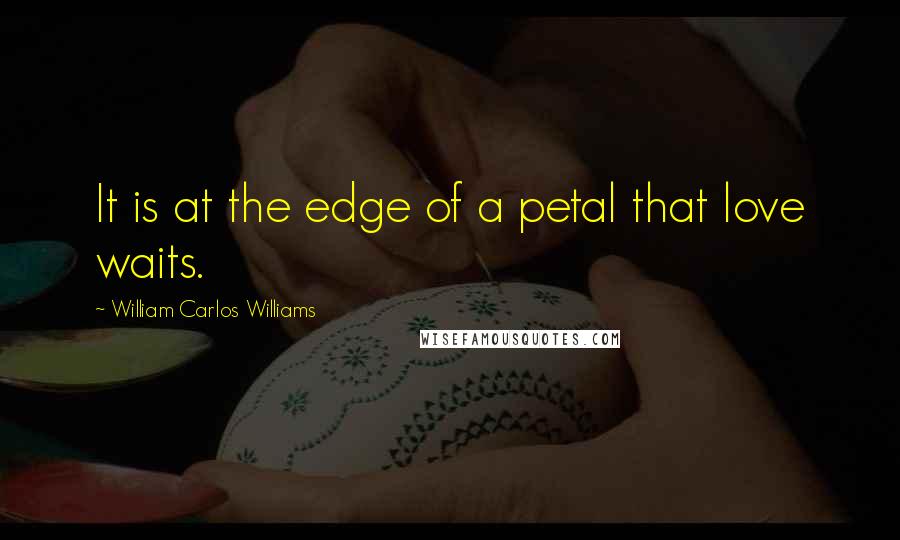 William Carlos Williams Quotes: It is at the edge of a petal that love waits.