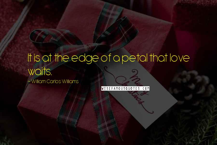 William Carlos Williams Quotes: It is at the edge of a petal that love waits.