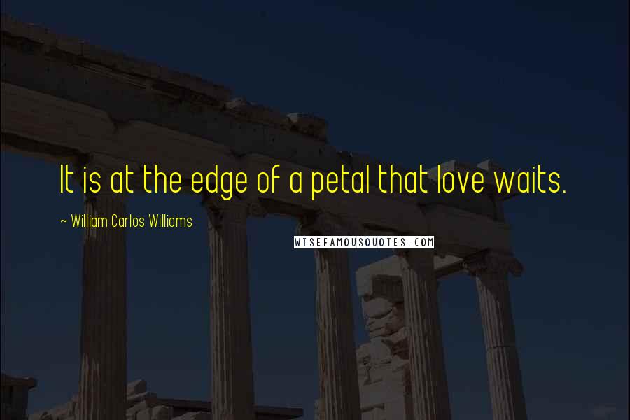 William Carlos Williams Quotes: It is at the edge of a petal that love waits.