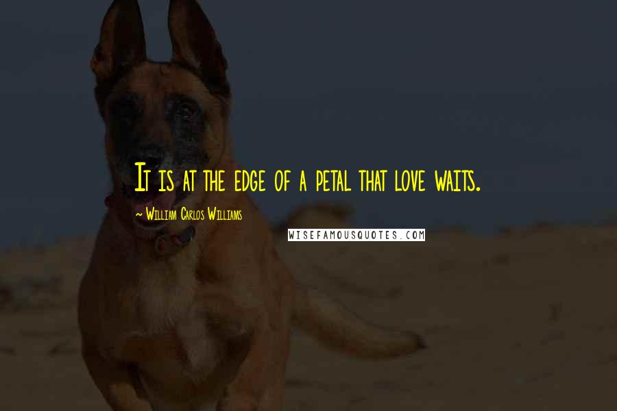 William Carlos Williams Quotes: It is at the edge of a petal that love waits.