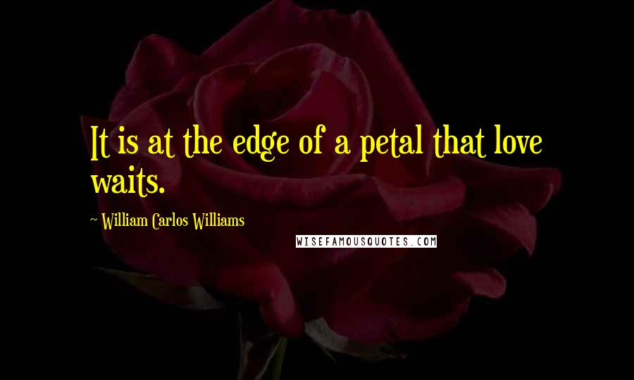 William Carlos Williams Quotes: It is at the edge of a petal that love waits.