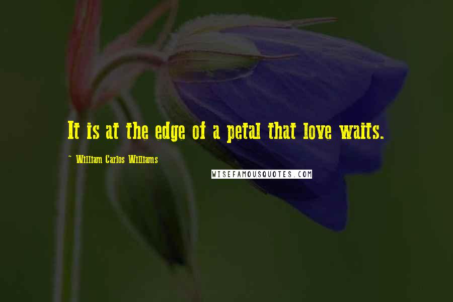 William Carlos Williams Quotes: It is at the edge of a petal that love waits.