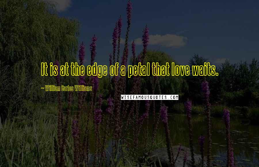 William Carlos Williams Quotes: It is at the edge of a petal that love waits.