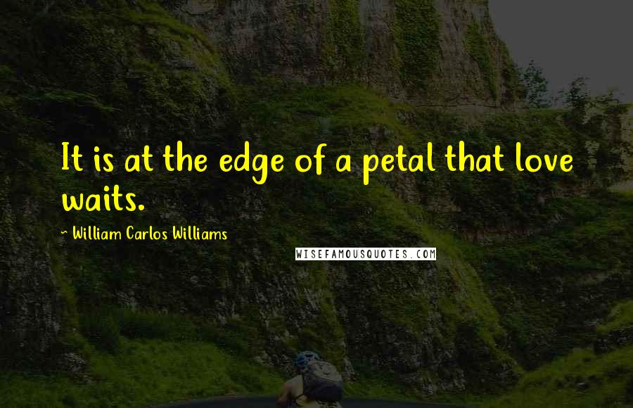 William Carlos Williams Quotes: It is at the edge of a petal that love waits.