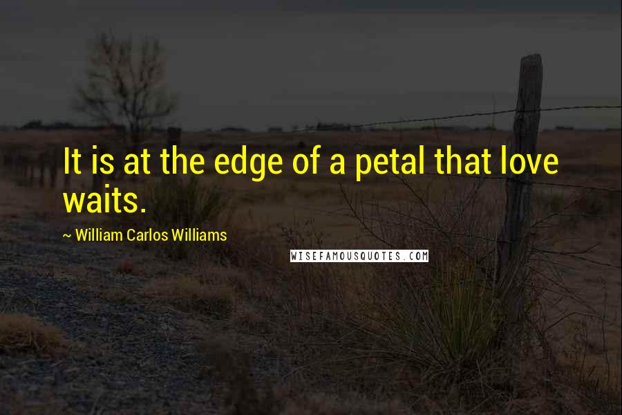 William Carlos Williams Quotes: It is at the edge of a petal that love waits.