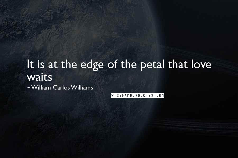 William Carlos Williams Quotes: It is at the edge of the petal that love waits