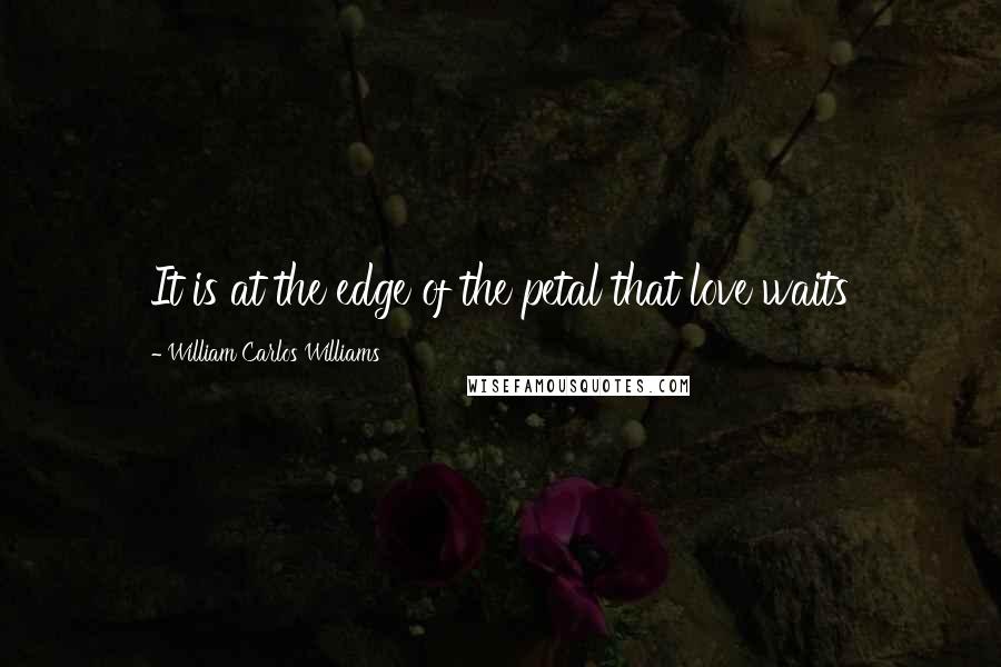 William Carlos Williams Quotes: It is at the edge of the petal that love waits