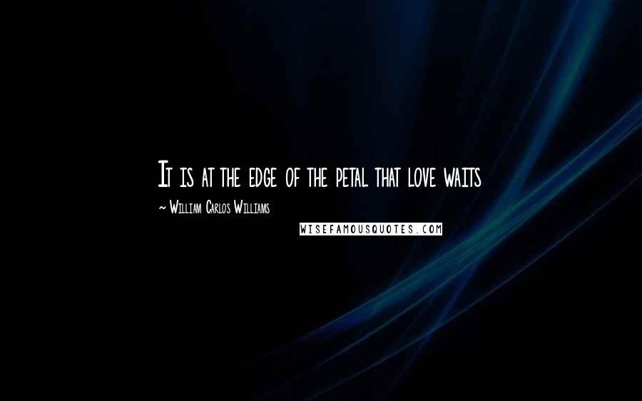 William Carlos Williams Quotes: It is at the edge of the petal that love waits