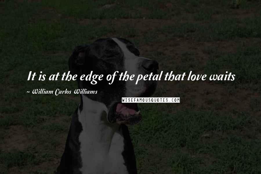 William Carlos Williams Quotes: It is at the edge of the petal that love waits