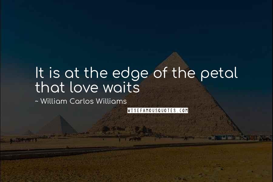 William Carlos Williams Quotes: It is at the edge of the petal that love waits