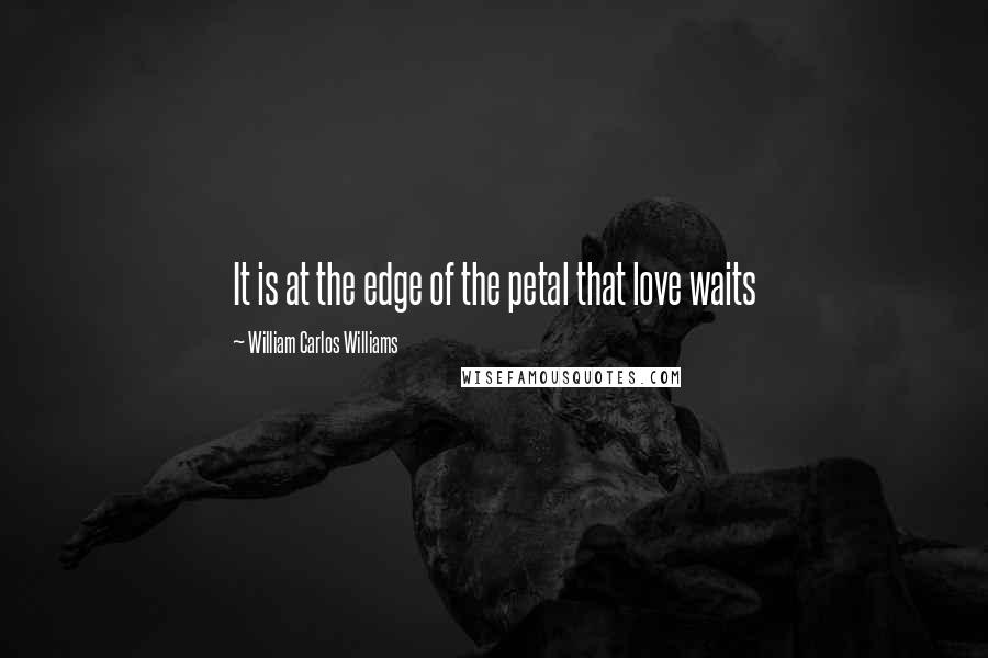 William Carlos Williams Quotes: It is at the edge of the petal that love waits