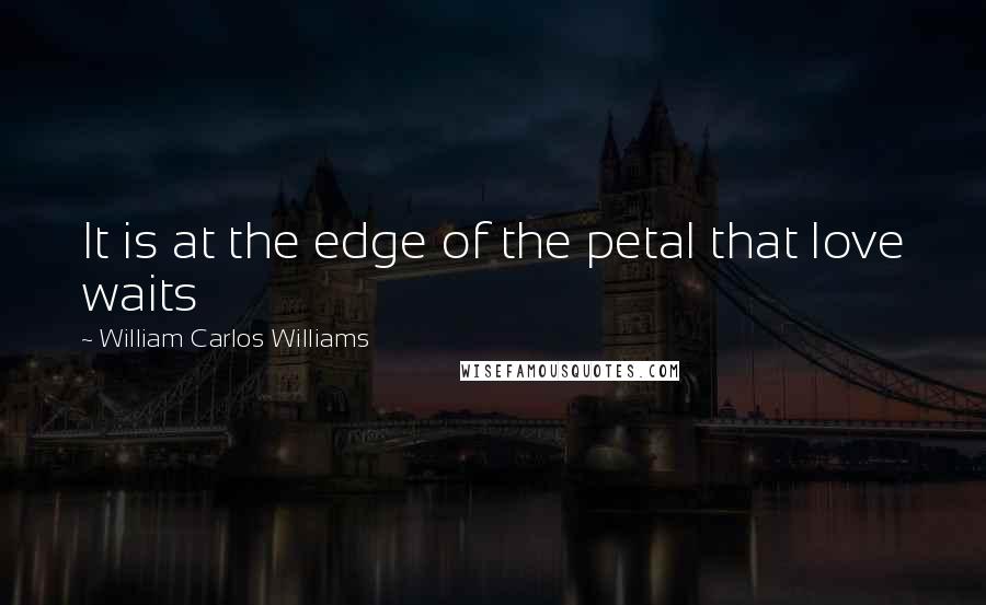 William Carlos Williams Quotes: It is at the edge of the petal that love waits