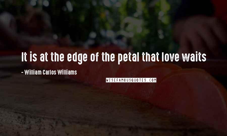 William Carlos Williams Quotes: It is at the edge of the petal that love waits