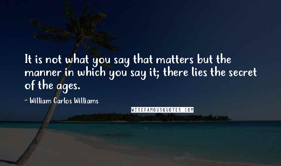 William Carlos Williams Quotes: It is not what you say that matters but the manner in which you say it; there lies the secret of the ages.