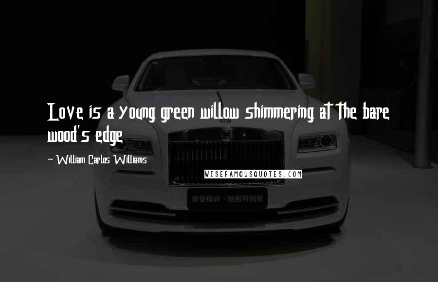 William Carlos Williams Quotes: Love is a young green willow shimmering at the bare wood's edge