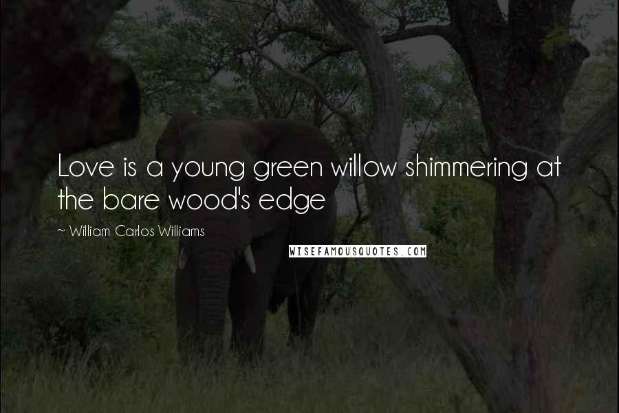 William Carlos Williams Quotes: Love is a young green willow shimmering at the bare wood's edge