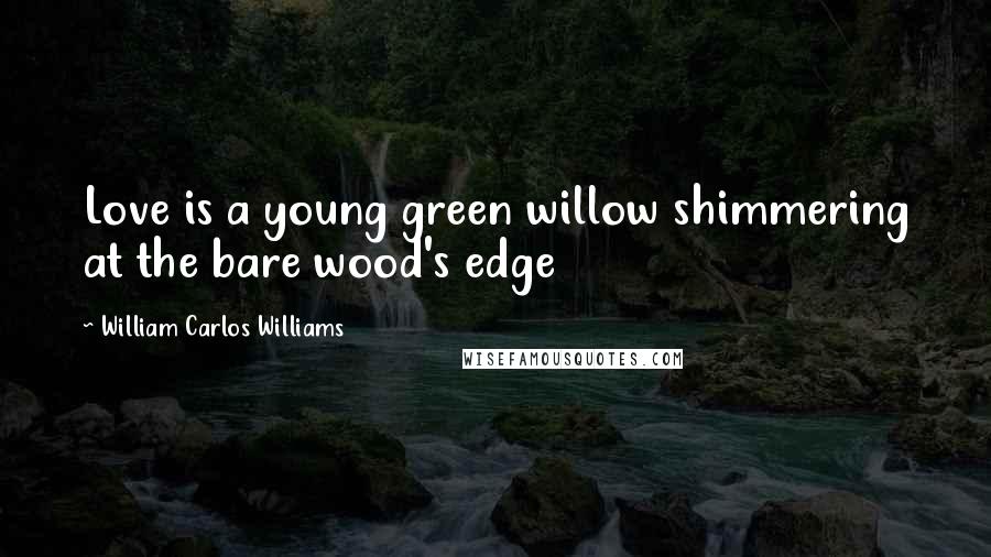 William Carlos Williams Quotes: Love is a young green willow shimmering at the bare wood's edge