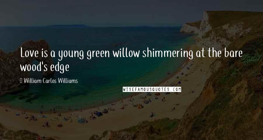 William Carlos Williams Quotes: Love is a young green willow shimmering at the bare wood's edge