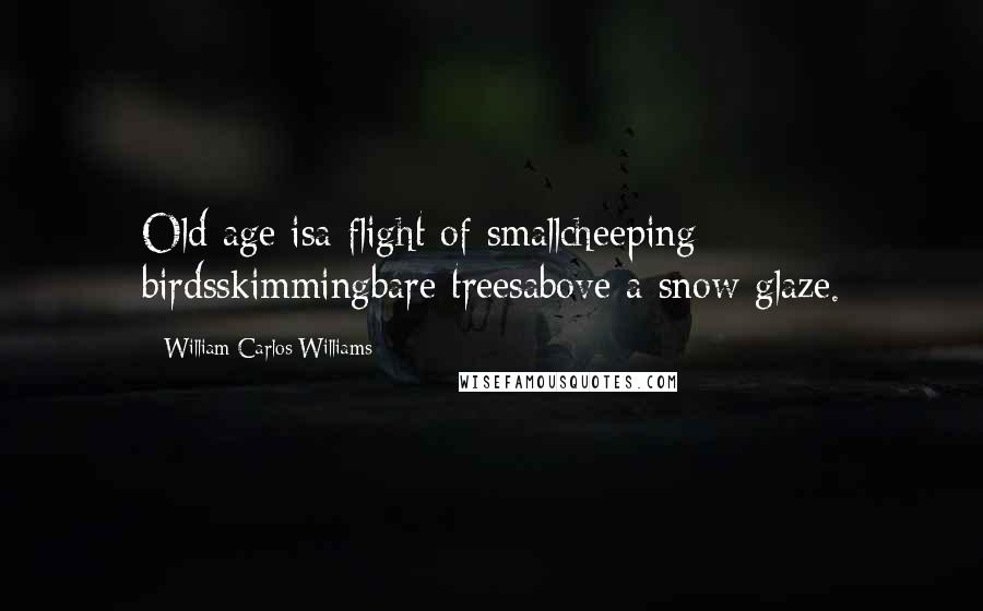William Carlos Williams Quotes: Old age isa flight of smallcheeping birdsskimmingbare treesabove a snow glaze.