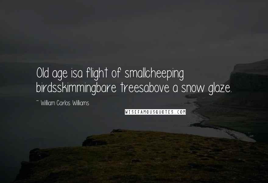 William Carlos Williams Quotes: Old age isa flight of smallcheeping birdsskimmingbare treesabove a snow glaze.