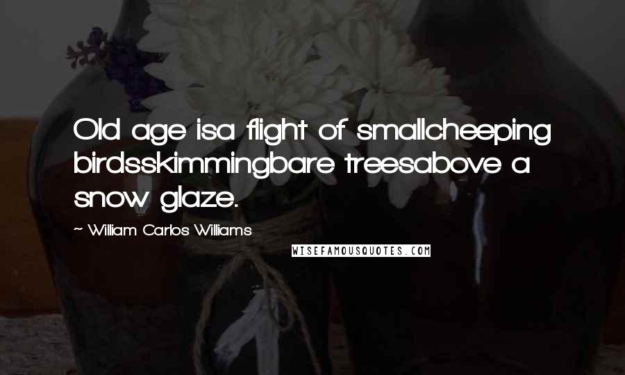 William Carlos Williams Quotes: Old age isa flight of smallcheeping birdsskimmingbare treesabove a snow glaze.