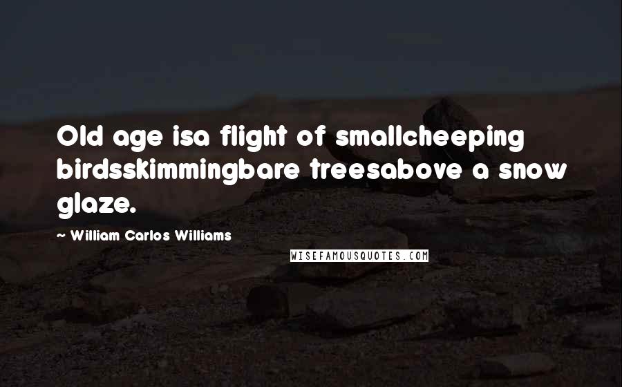 William Carlos Williams Quotes: Old age isa flight of smallcheeping birdsskimmingbare treesabove a snow glaze.