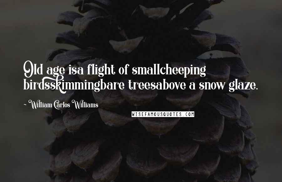 William Carlos Williams Quotes: Old age isa flight of smallcheeping birdsskimmingbare treesabove a snow glaze.