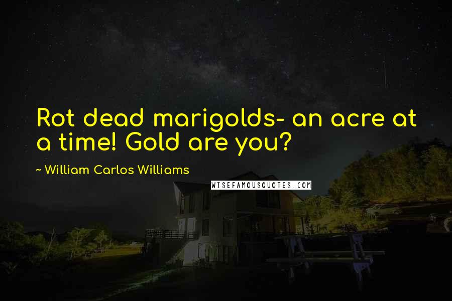 William Carlos Williams Quotes: Rot dead marigolds- an acre at a time! Gold are you?