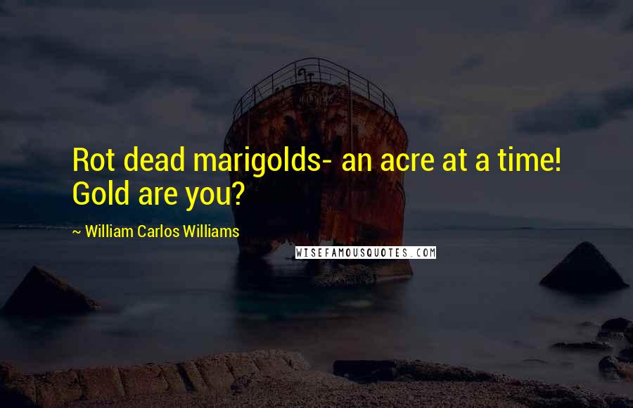 William Carlos Williams Quotes: Rot dead marigolds- an acre at a time! Gold are you?