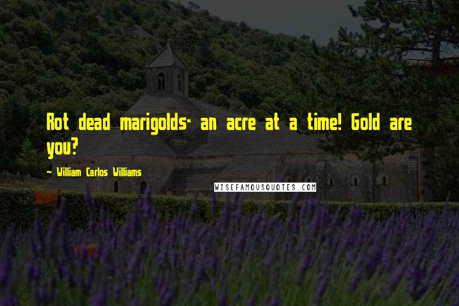 William Carlos Williams Quotes: Rot dead marigolds- an acre at a time! Gold are you?