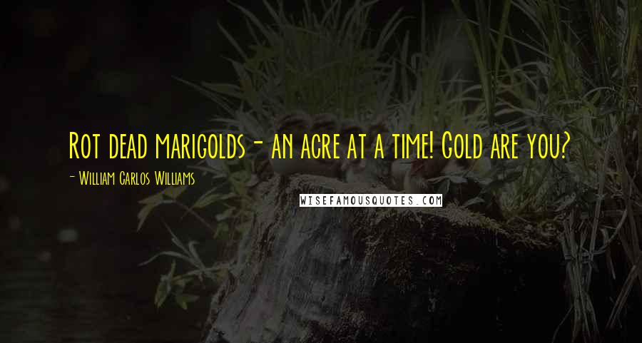 William Carlos Williams Quotes: Rot dead marigolds- an acre at a time! Gold are you?