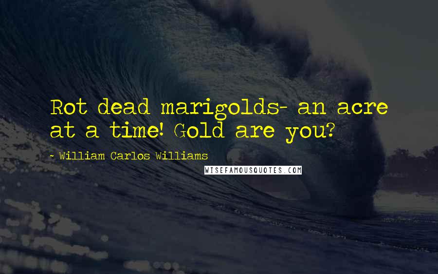 William Carlos Williams Quotes: Rot dead marigolds- an acre at a time! Gold are you?