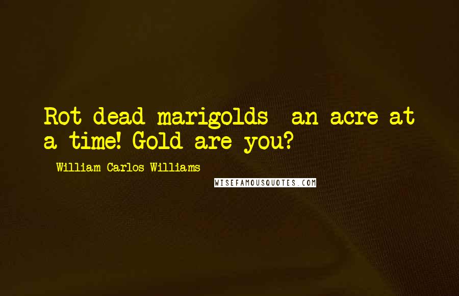 William Carlos Williams Quotes: Rot dead marigolds- an acre at a time! Gold are you?