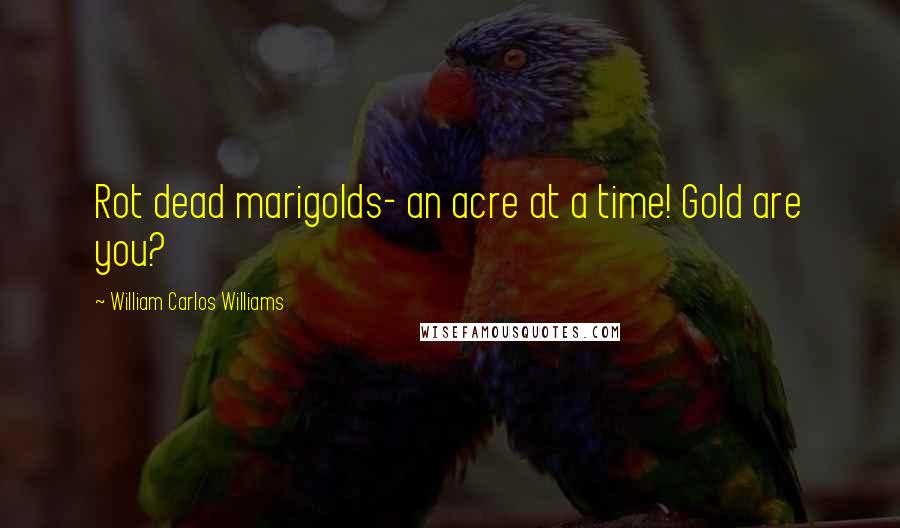 William Carlos Williams Quotes: Rot dead marigolds- an acre at a time! Gold are you?