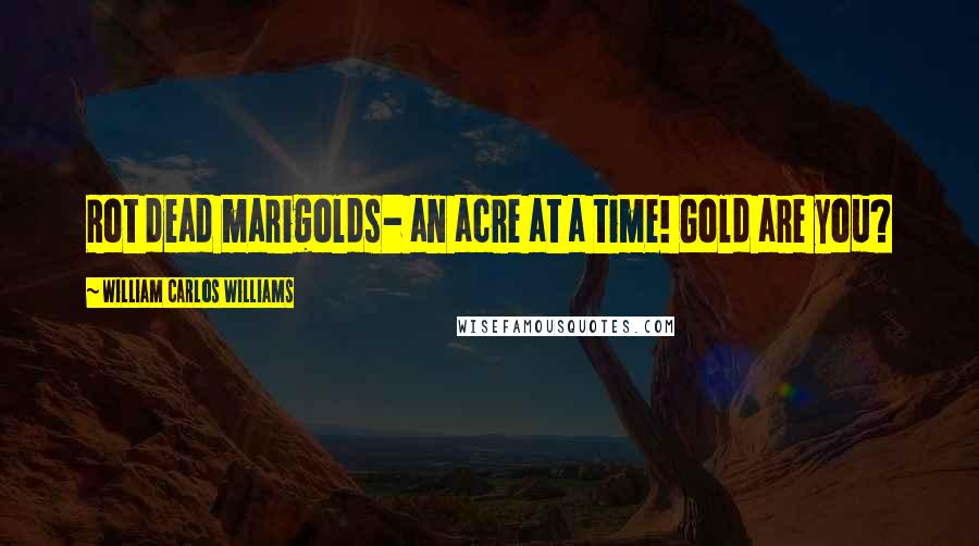 William Carlos Williams Quotes: Rot dead marigolds- an acre at a time! Gold are you?