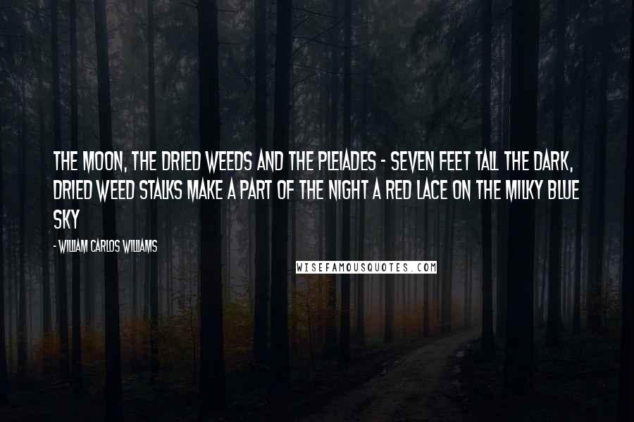 William Carlos Williams Quotes: The Moon, the dried weeds and the Pleiades - Seven feet tall the dark, dried weed stalks make a part of the night a red lace on the milky blue sky