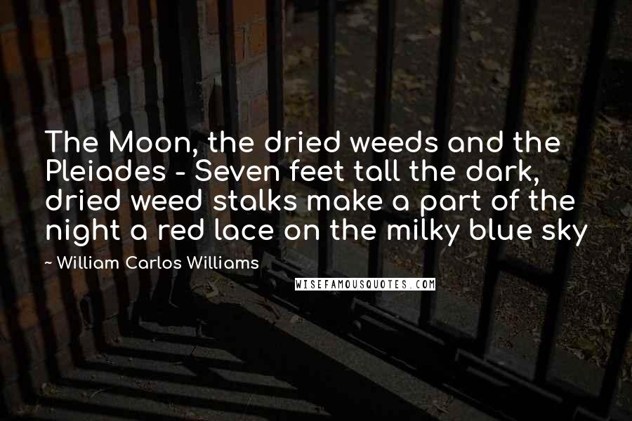 William Carlos Williams Quotes: The Moon, the dried weeds and the Pleiades - Seven feet tall the dark, dried weed stalks make a part of the night a red lace on the milky blue sky