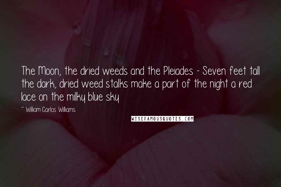 William Carlos Williams Quotes: The Moon, the dried weeds and the Pleiades - Seven feet tall the dark, dried weed stalks make a part of the night a red lace on the milky blue sky