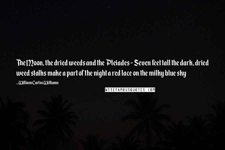 William Carlos Williams Quotes: The Moon, the dried weeds and the Pleiades - Seven feet tall the dark, dried weed stalks make a part of the night a red lace on the milky blue sky