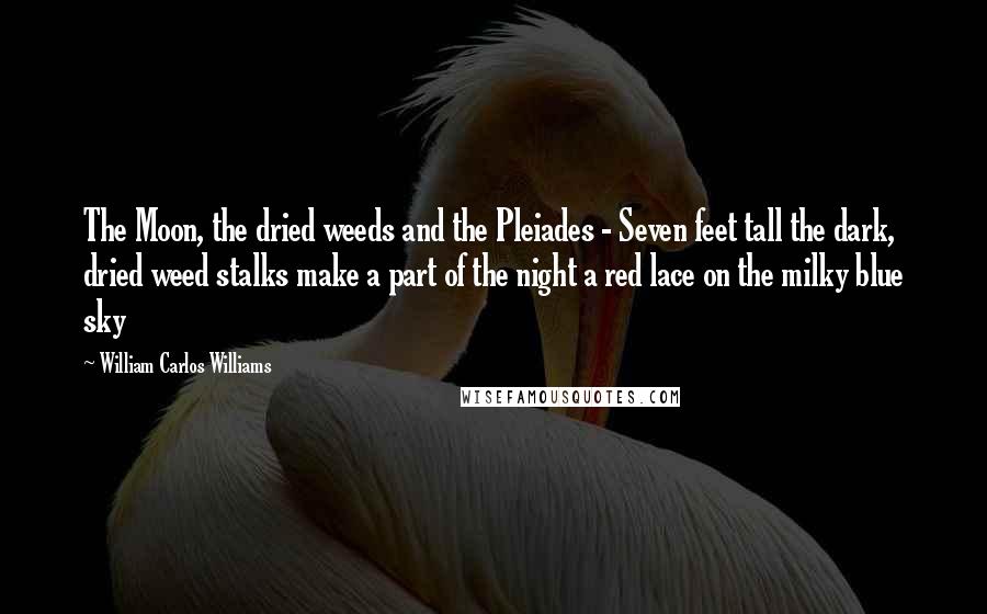 William Carlos Williams Quotes: The Moon, the dried weeds and the Pleiades - Seven feet tall the dark, dried weed stalks make a part of the night a red lace on the milky blue sky