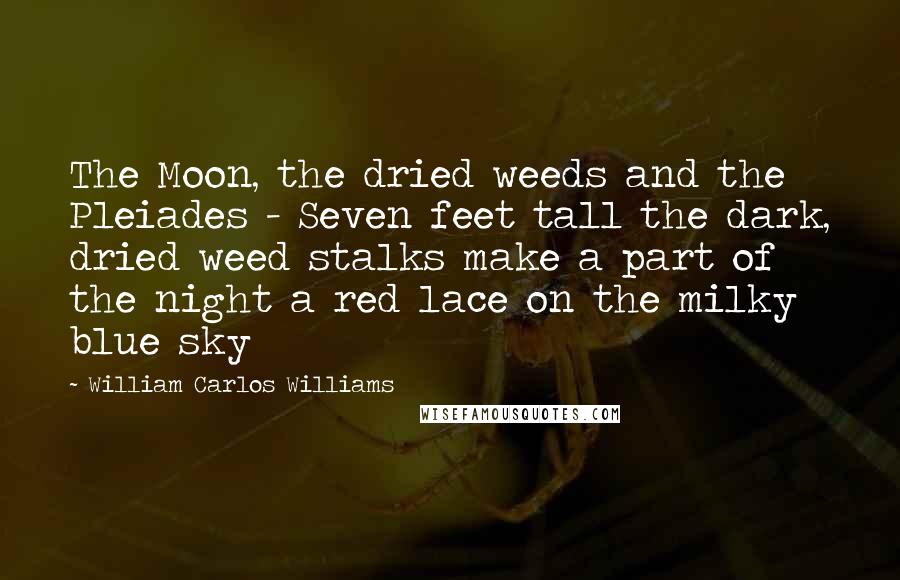 William Carlos Williams Quotes: The Moon, the dried weeds and the Pleiades - Seven feet tall the dark, dried weed stalks make a part of the night a red lace on the milky blue sky