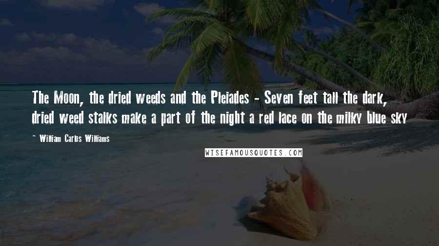 William Carlos Williams Quotes: The Moon, the dried weeds and the Pleiades - Seven feet tall the dark, dried weed stalks make a part of the night a red lace on the milky blue sky