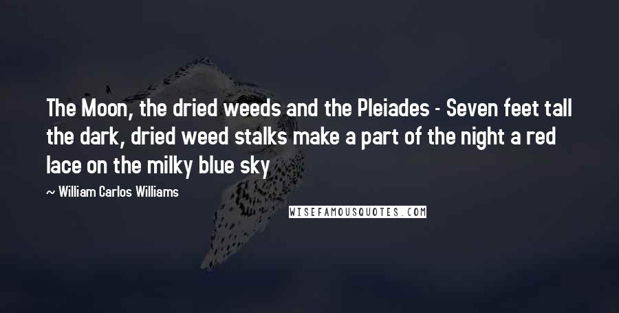 William Carlos Williams Quotes: The Moon, the dried weeds and the Pleiades - Seven feet tall the dark, dried weed stalks make a part of the night a red lace on the milky blue sky