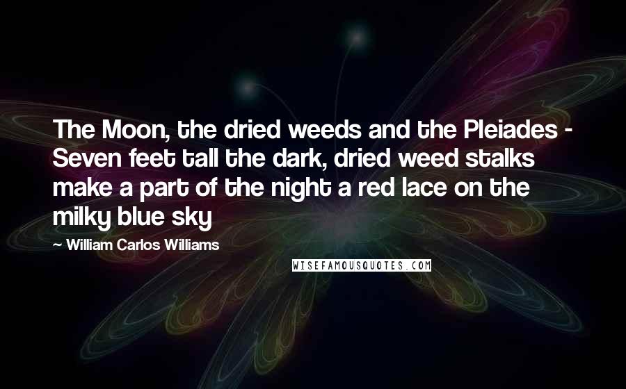 William Carlos Williams Quotes: The Moon, the dried weeds and the Pleiades - Seven feet tall the dark, dried weed stalks make a part of the night a red lace on the milky blue sky