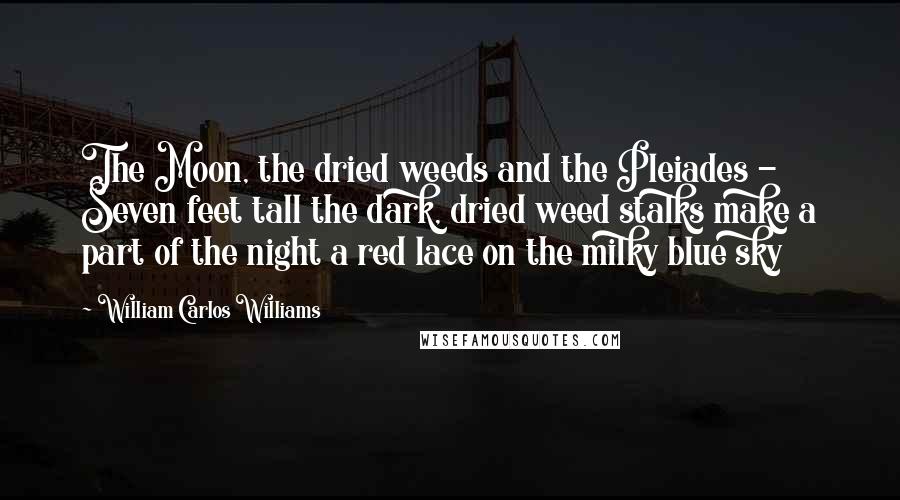 William Carlos Williams Quotes: The Moon, the dried weeds and the Pleiades - Seven feet tall the dark, dried weed stalks make a part of the night a red lace on the milky blue sky