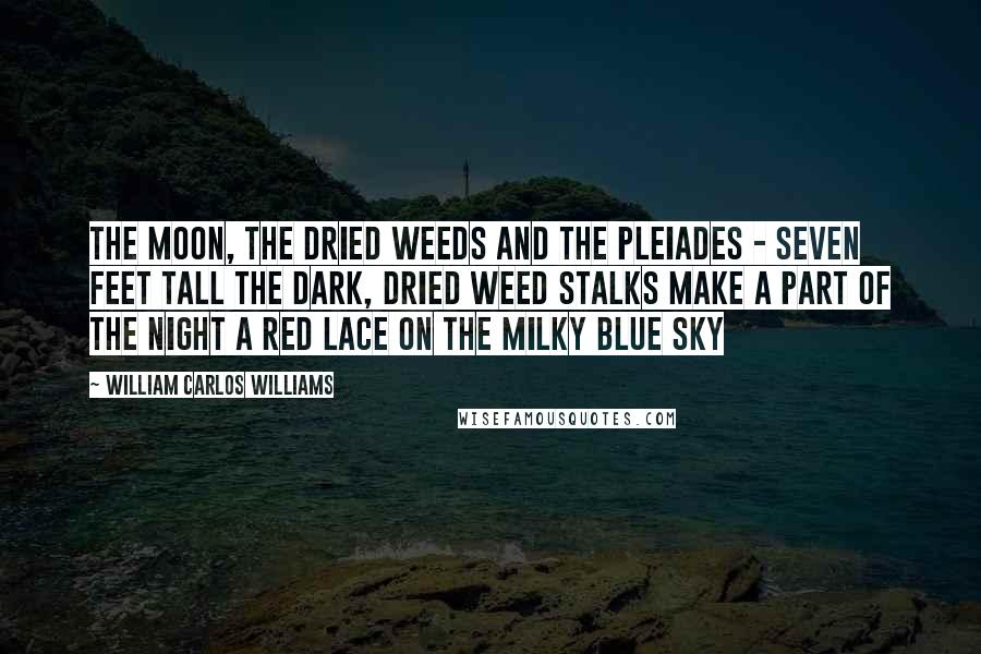 William Carlos Williams Quotes: The Moon, the dried weeds and the Pleiades - Seven feet tall the dark, dried weed stalks make a part of the night a red lace on the milky blue sky