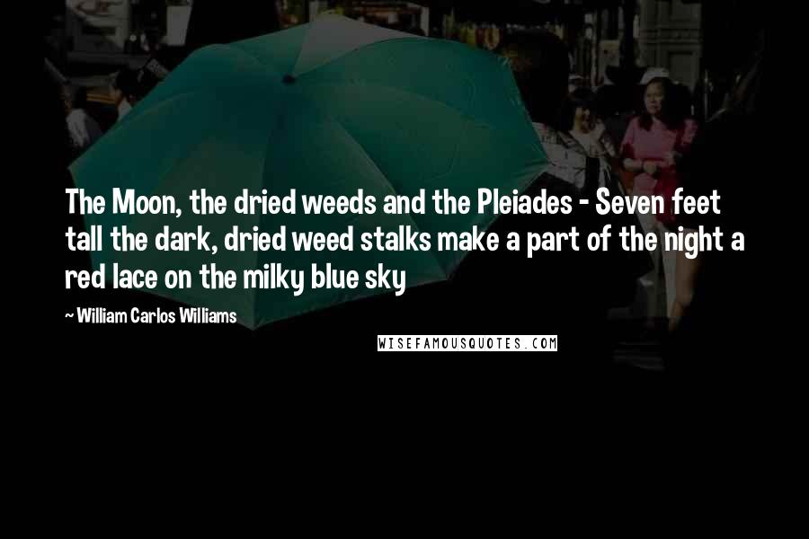 William Carlos Williams Quotes: The Moon, the dried weeds and the Pleiades - Seven feet tall the dark, dried weed stalks make a part of the night a red lace on the milky blue sky