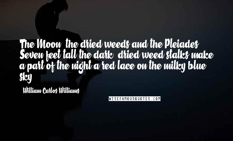 William Carlos Williams Quotes: The Moon, the dried weeds and the Pleiades - Seven feet tall the dark, dried weed stalks make a part of the night a red lace on the milky blue sky